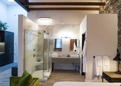 Holt suite bathroom/shower